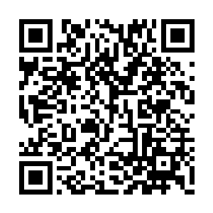 就只是把黄文娟留在了公司接受郑总他们的拷问二维码生成