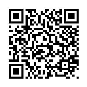 就只有一排办理各种业务的窗口而已二维码生成