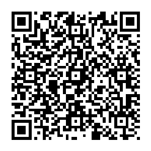 就只有李小天阮千这一帮子年纪相近的燕子坞小伙伴以及方英雄方好汉这两个晚辈陪伴着他二维码生成