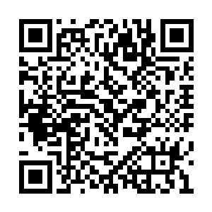 就只有这个家伙背后的家族才有财力购买金令吗二维码生成