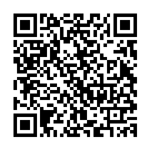 就只能在游侠和夜行人之间选择一个职业作为自己的传奇职业二维码生成