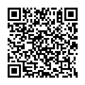 就只能用炮灰来填……但这些炮灰都用本域贼寇二维码生成