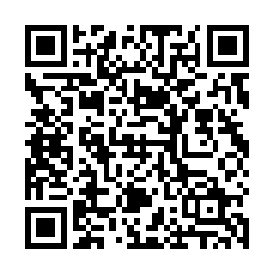 就只能看个人的战斗经验和战斗技巧以及所修炼的功法二维码生成