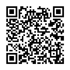就可以一点一点地从脑海当中吸收到这些知识点来二维码生成