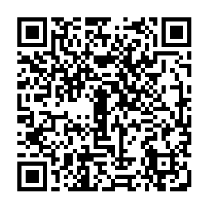 就可以从自己赚取的酬劳中拿出一部分去换取专门针对NPC的游戏商城里的物品了二维码生成