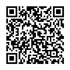 就可以借助神州帝国的科技力量完成基地发布的任务二维码生成