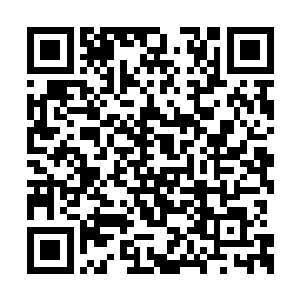 就可以在其它时段都亏损的情况下顺利实现盈利二维码生成