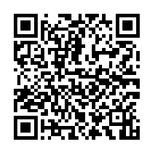 就可以在时光倒流的过程中对部分量子进行一定程度的干涉二维码生成