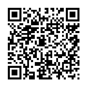 就可以对下一任舰长的候选者进行脱胎换骨的改造二维码生成