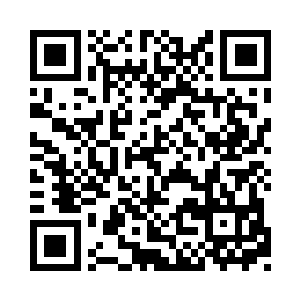 就可以彻底的扫清在外的所有魔丸宗之人了二维码生成