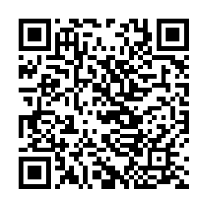 就可以清晰地感受到一股澎湃炽热的能量从主根中通过二维码生成