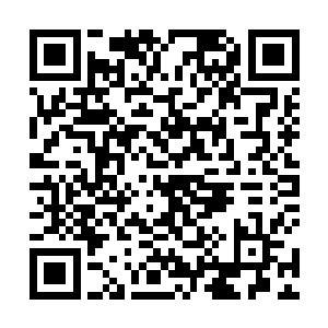 就可以生存在这个避难所的主控制程序里……理论上说二维码生成