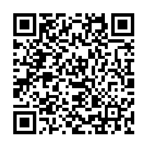 就可以看到雨果那双修长的手指在吉他琴弦上轻盈地跳动着二维码生成
