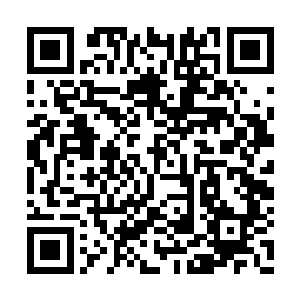 就听到店内几个服务员惊恐地抱头蹲下尖叫起来二维码生成