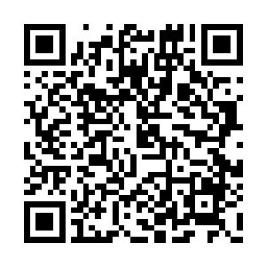 就听到无数的海兽如狂潮般朝日月黑龙狂涌而去二维码生成