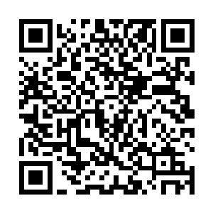 就听见一道尖悦的叫声在房子间完全密封的房子间响起二维码生成