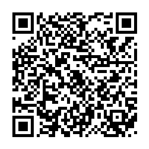 就听说有考古学家从洪荒遗迹中发现了几十万年前某种植物的孢子二维码生成