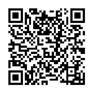 就命令芯片记录了这本残破笔记本上面的全部内容二维码生成