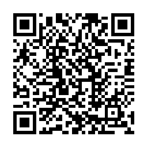 就和一个从小听爷爷奶奶给他讲大马猴故事的小孩一样二维码生成