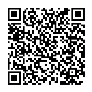 就和生活在国王魔掌之下的宰相之女山鲁佐德以及所有的女孩儿一样二维码生成