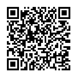 就哈哈一笑和葛秋烟一起带着孩子们回寨子去了二维码生成