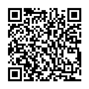 就回宿舍拿了装着假链子和纹身纸的包包准备去找导员二维码生成