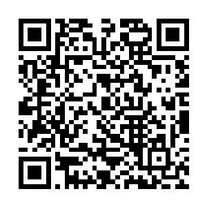 就因为与一名印度尼西亚大学的教授建立了良好关系二维码生成