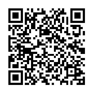 就因为书房的兽嘴烟炉里点的香是世间最珍贵的惜金香二维码生成