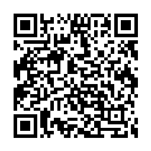 就因为今天教了他一些看起来一文不值的东西吗二维码生成