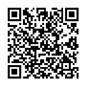 就因为她是中土大陆唯一一个见过双圣树的精灵二维码生成