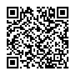 就因为局势被擅长逆转战局的女真人给成功逆转二维码生成