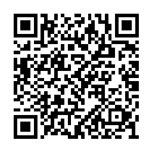 就在一声怒喝中张开的大嘴已经咬住了一个修士二维码生成