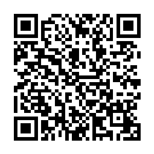 就在三天前司空珊娜和流墨墨他们一前一后的离开后不久二维码生成