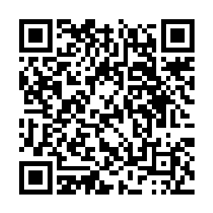 就在东方愚目瞪口呆的看着汹鱼被苏落一拳头砸死二维码生成