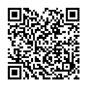 就在严默已经开始想象他带着一帮原始人大杀四方二维码生成