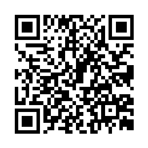 就在中英就缅甸的问题达成一致的同时二维码生成