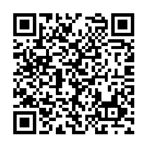 就在乍现的王气裹夹梦无真元灵神魂即将逃脱至极二维码生成