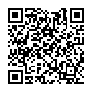 就在他们臆测纷纷这战斗机到清北大学来的目的时二维码生成