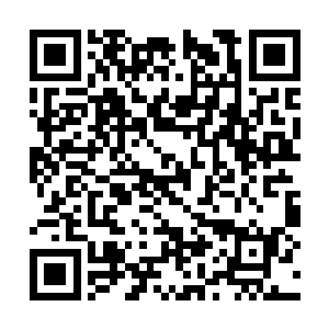 就在他们赶过去的时候听到了几声咔嚓咔嚓的轻响二维码生成