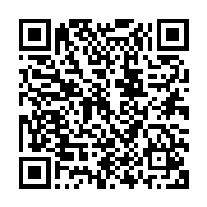 就在他都想干脆随便找个机枪手或者什么火箭筒手射杀的时候二维码生成