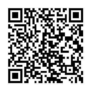就在众人为了小临天未来的日子感到担忧的时候二维码生成