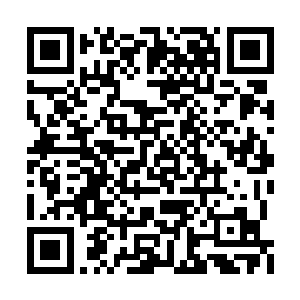 就在众人心中哀嚎以为又免不了一晚上的特训时二维码生成