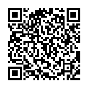 就在众人议论纷纷拿不定主意是等苏落还是去找苏落的时候……二维码生成