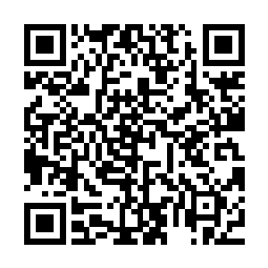 就在众人都期望听到林烽被电击之后的惨叫以及那竖起的头发时二维码生成