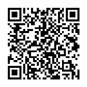 就在关于佩特里奇公司的调查已经取得了重大突破的情况下二维码生成