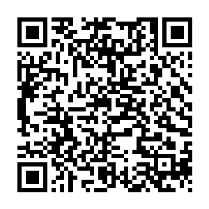 就在几天前还口口声声的说自己要靠自己一己之力将那座桥修起来二维码生成