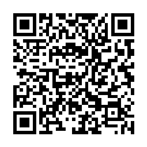 就在刚才他看了玉简之后东方天就已经生出了这个想法二维码生成
