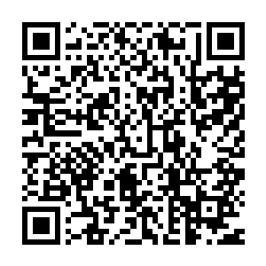 就在刚才龙傲天见到阵玄子的样子之后心中也是一下子番然醒悟了二维码生成