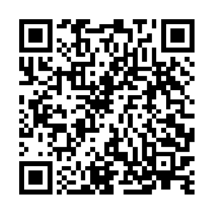 就在吞血化骨门的这些少女都向着自己目标前进的时候二维码生成