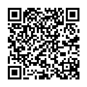 就在大家以为这一局比赛因为是S5世界总决赛最后一局的关系二维码生成
